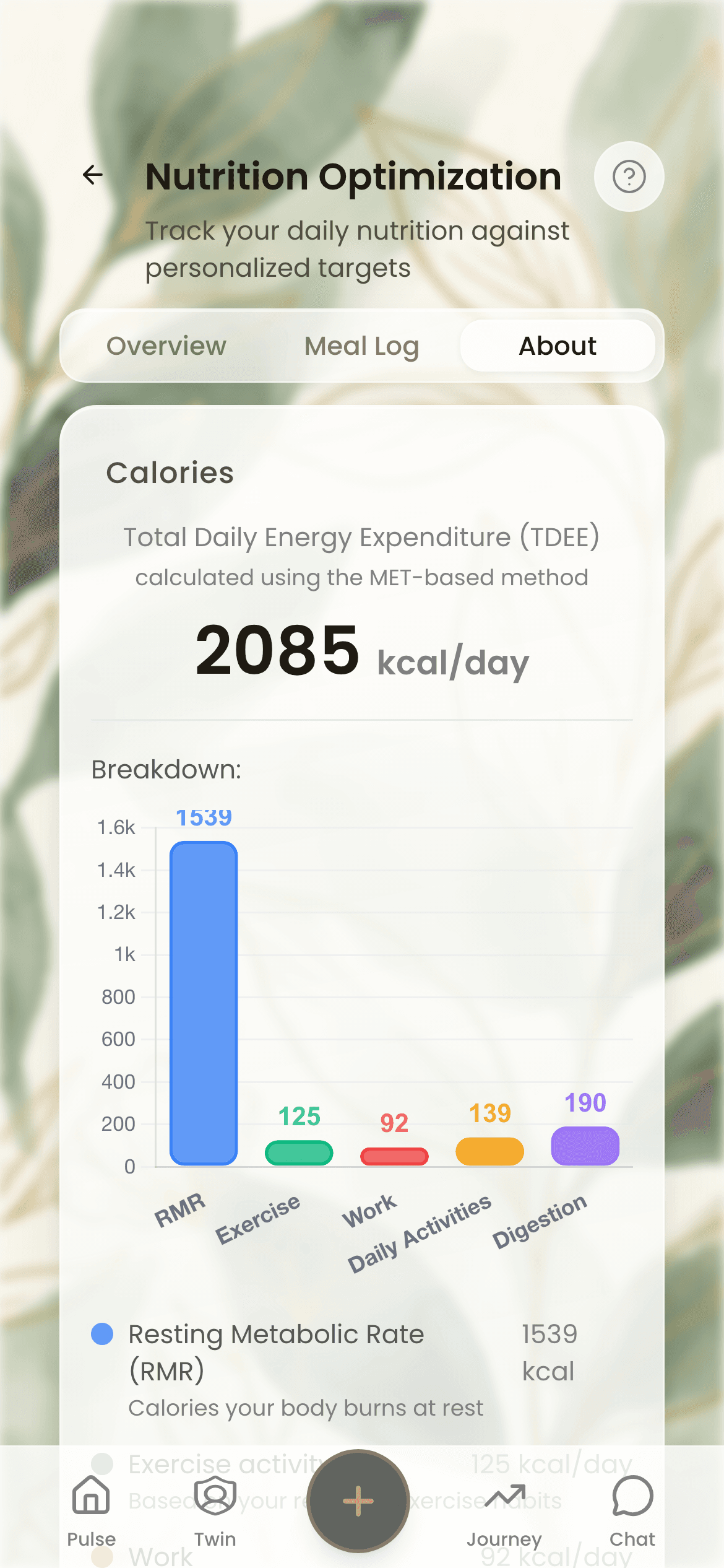 Your daily energy target (2,085 kcal) and what it is made of: resting metabolism, exercise, work, daily activities and digestion